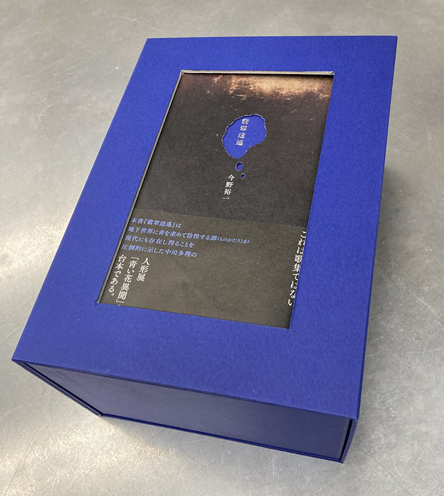 hisuiTK_casebook