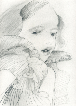 kyotaro_kinokoalice_06