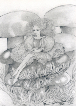 kyotaro_kinokoalice_12