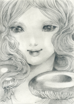 kyotaro_kinokoalice_16