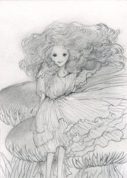 kyotaro_kinokoalice_19