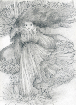 kyotaro_kinokoalice_20